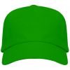 Gorras serigrafiadas roly uranus de 100% algodón verde helecho vista 1